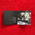DAVID LYNCH CRAZY CLOWN TIME (2011) CD